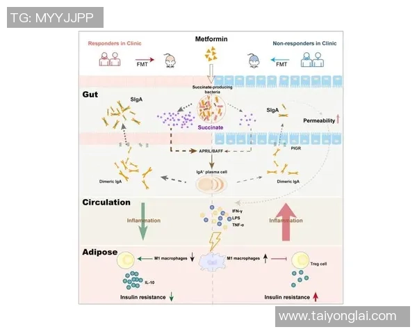 北京街舞队员个人能力深度对比与分析揭示团队竞争力与发展潜力