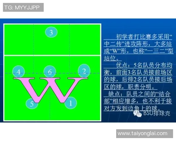 成都排球队中路突破的战术解析与发展前景探讨