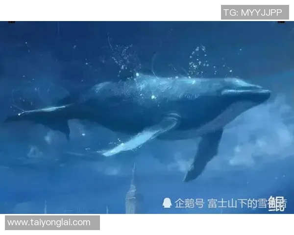 深度对话:张芳如何在和平精英中找到自我与成长的旅程 深度对话:张芳如何在和平精英中找到自我与成长的旅程