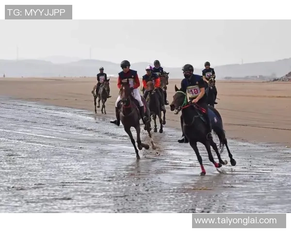 赛后分析：西安排球队与广州排球队耐力对决的精彩瞬间与启示