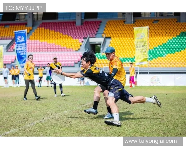飞盘热潮席卷北京解密飞盘队的反击策略与背后故事 飞盘热潮席卷北京解密飞盘队的反击策略与背后故事