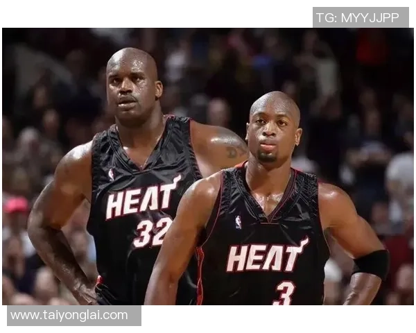 2005年小牛队与热火队总决赛精彩回顾与历史意义分析